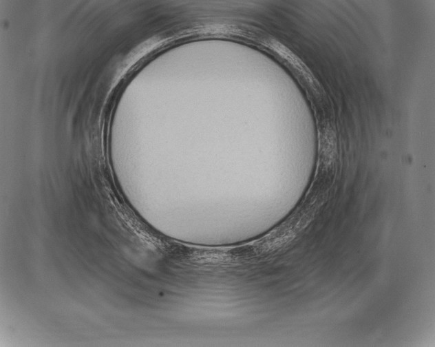 X0000085820886200703301550