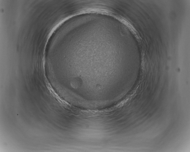 X0000085820888200703301550