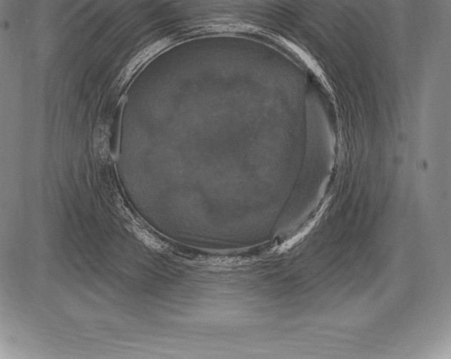 X0000085820889200703301550