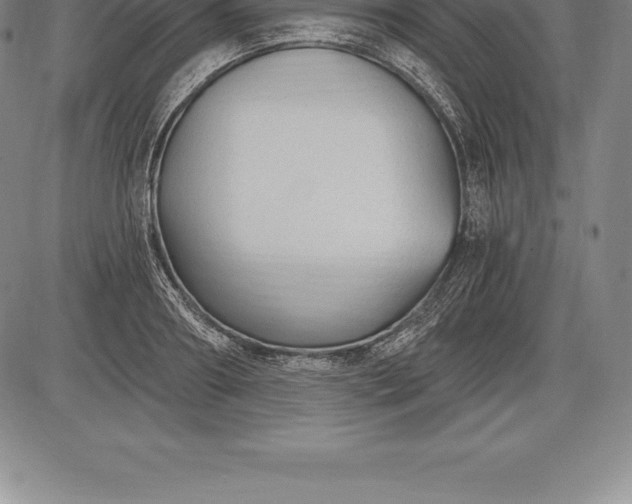 X0000085820890200703301550