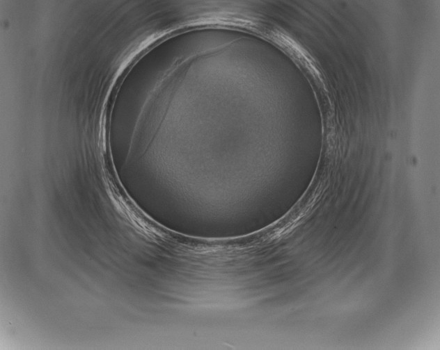 X0000085820892200703301550