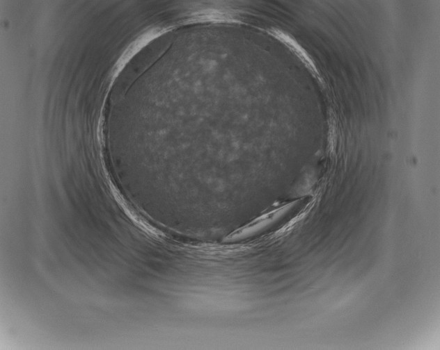 X0000085820893200703301550