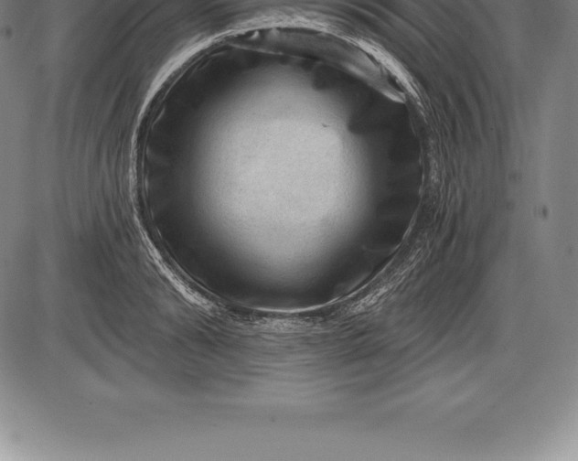 X0000085820894200703301550