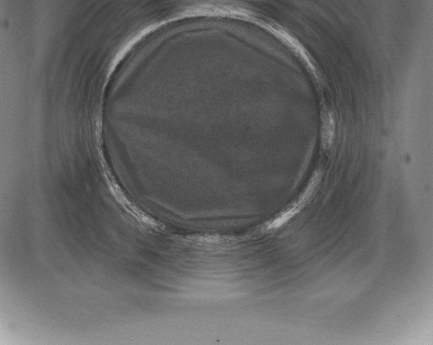 X0000085820896200703301550