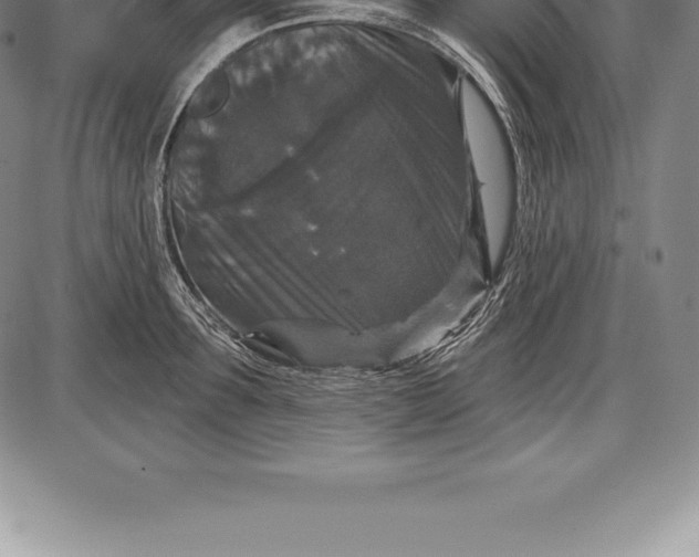 X0000085820899200703301550