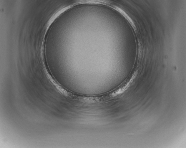 X0000085820901200703301550