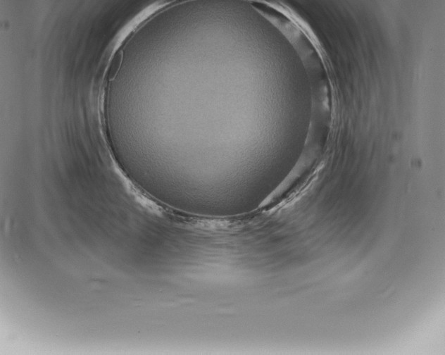 X0000085820909200703301550