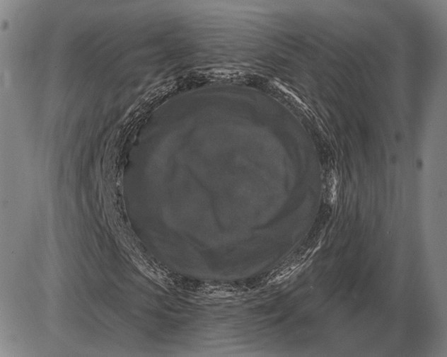 X0000085820913200703301549