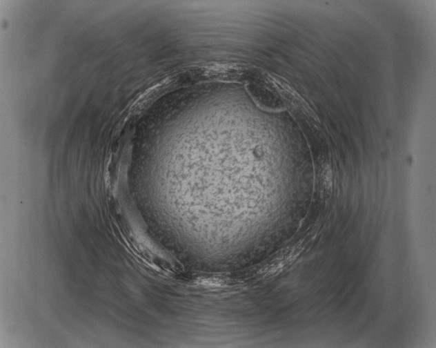 X0000085820914200703301549