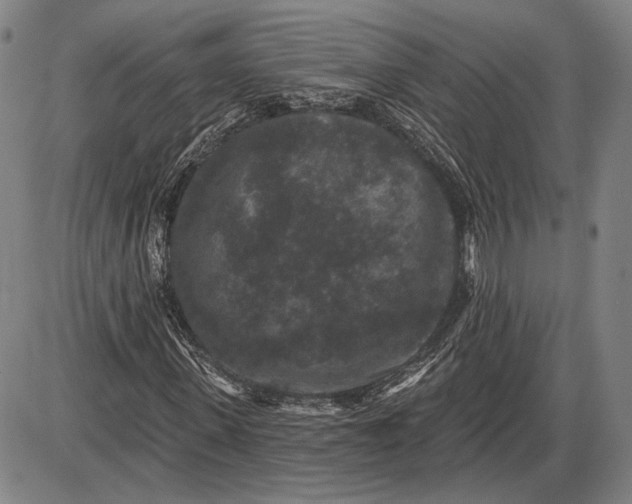 X0000085820915200703301549