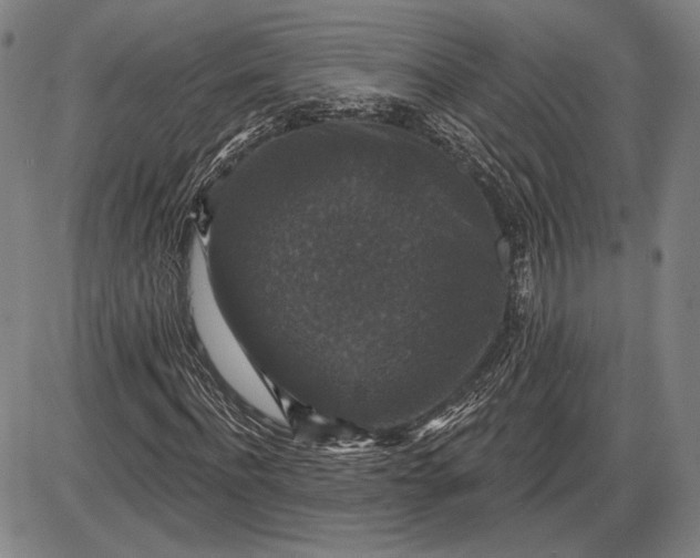 X0000085820916200703301549