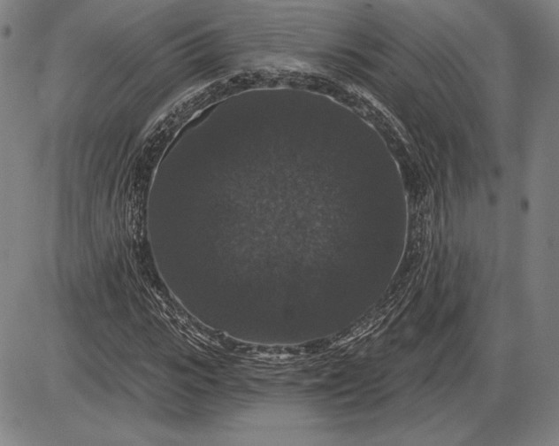 X0000085820919200703301549