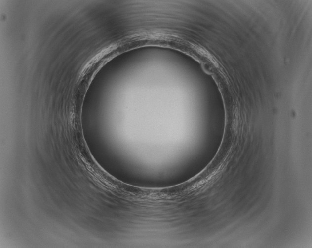 X0000085820922200703301549