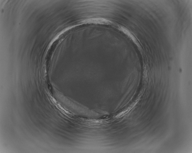 X0000085820923200703301549