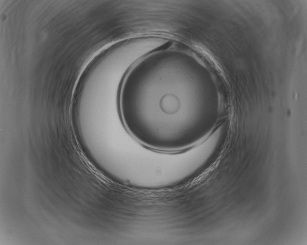 X0000085820924200703301549