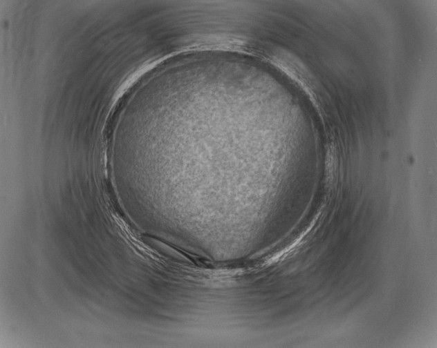 X0000085820925200703301549