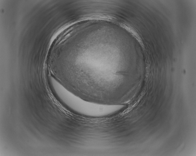 X0000085820928200703301549