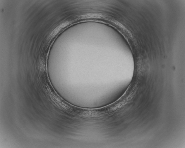 X0000085820929200703301549