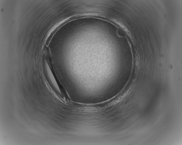 X0000085820933200703301550