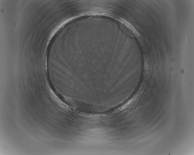X0000085820934200703301550