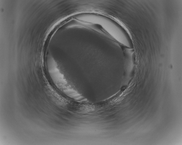 X0000085820935200703301550