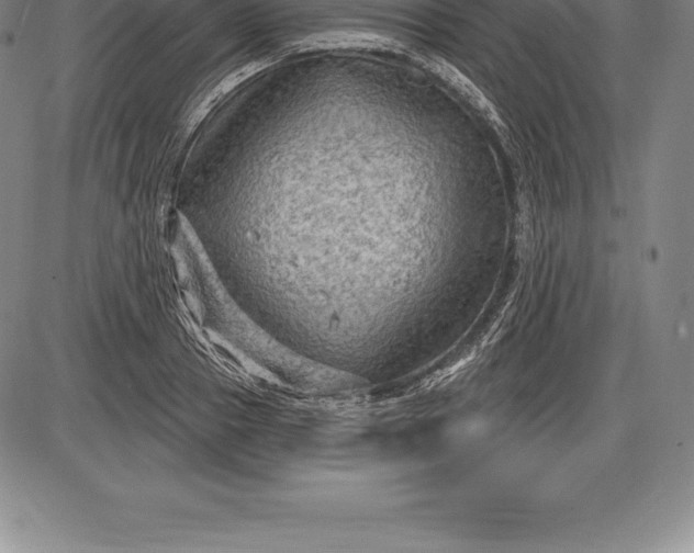 X0000085820937200703301550