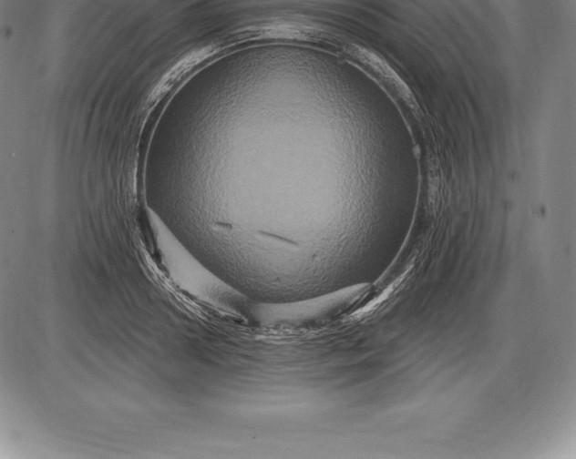 X0000085820938200703301550