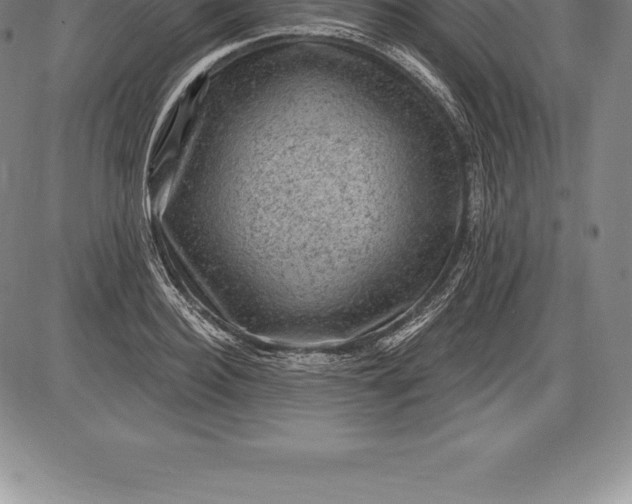 X0000085820940200703301550