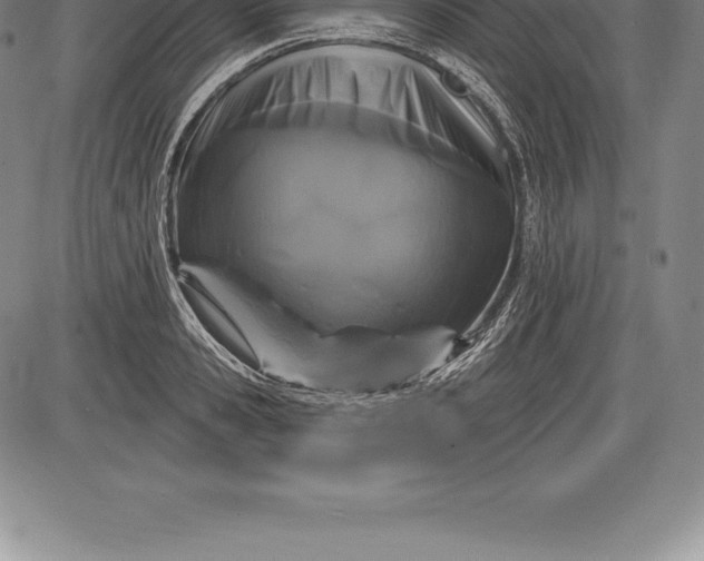 X0000085820941200703301550