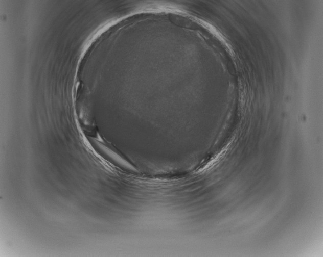 X0000085820943200703301550