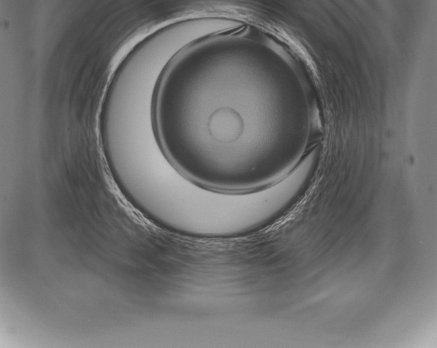X0000085820944200703301550