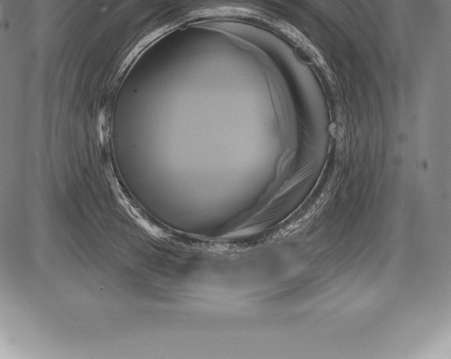 X0000085820945200703301550