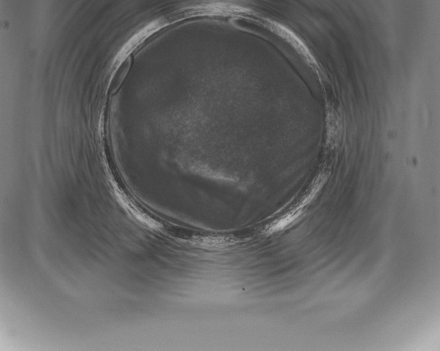 X0000085820946200703301550