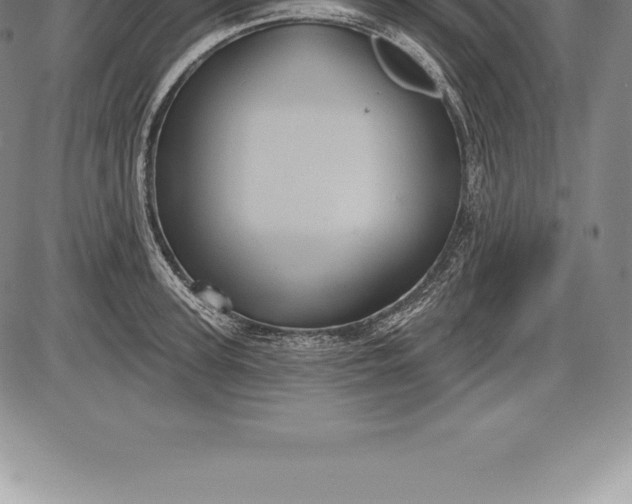 X0000085820947200703301550