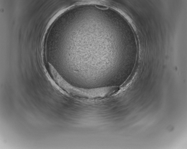 X0000085820949200703301550
