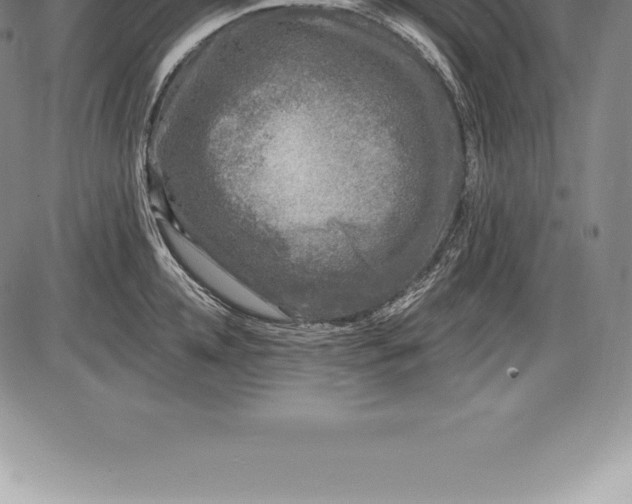 X0000085820952200703301550