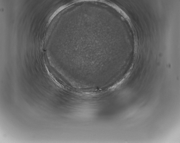 X0000085820953200703301550