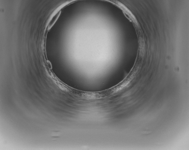 X0000085820956200703301550