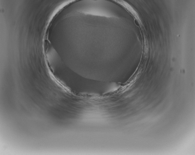 X0000085820958200703301550