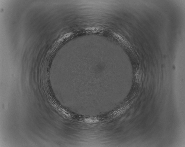 X0000085820961200703301549