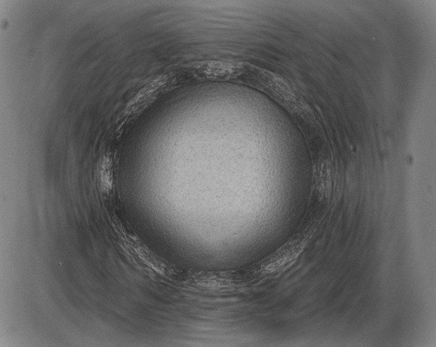 X0000085820962200703301549