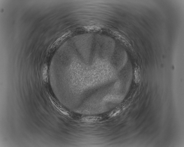X0000085820963200703301549