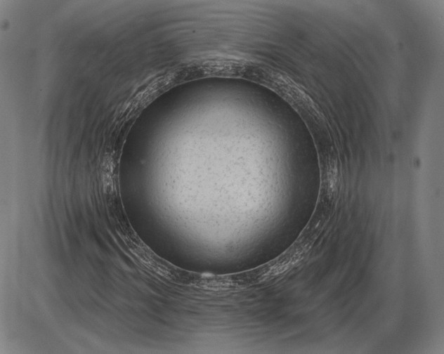X0000085820964200703301549