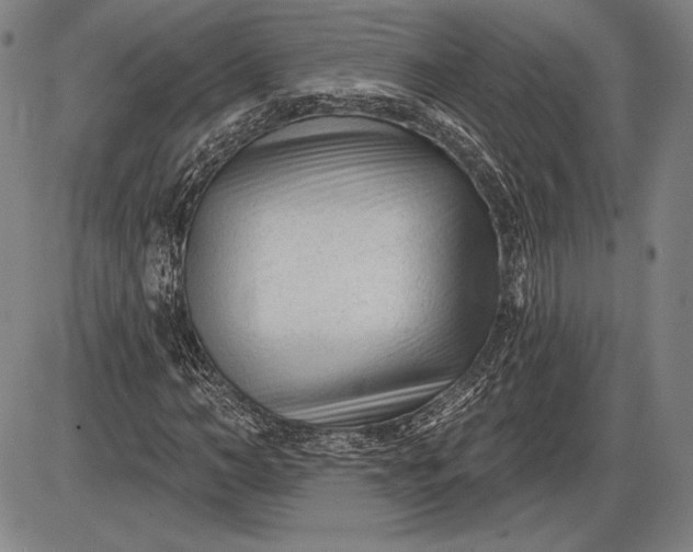 X0000085820966200703301549