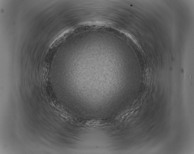X0000085820967200703301549