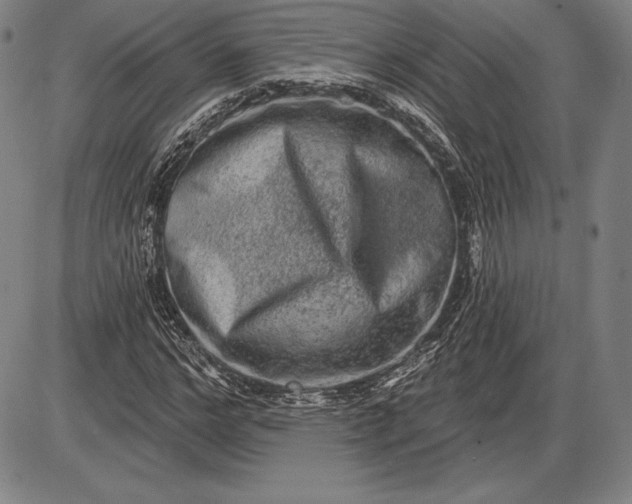 X0000085820968200703301549