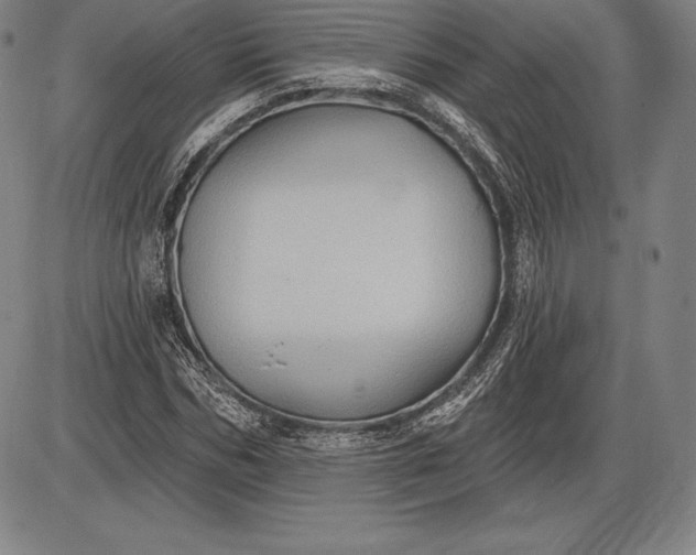 X0000085820970200703301549