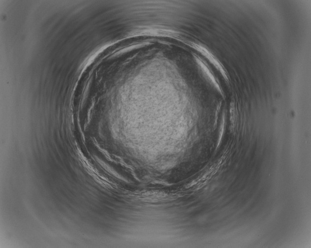 X0000085820972200703301549