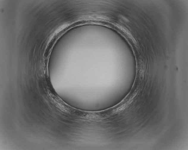 X0000085820974200703301549