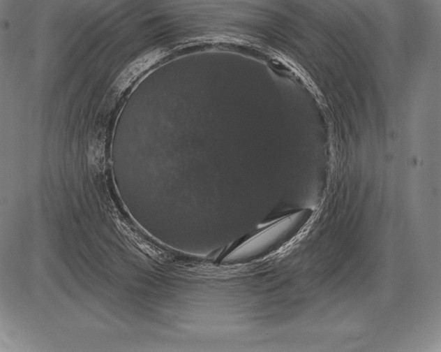 X0000085820977200703301549